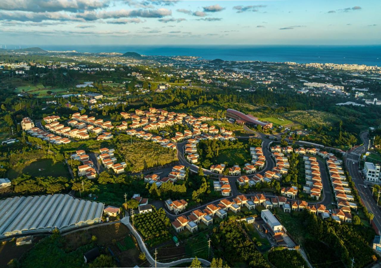 Camphortree Hotel And Resort Jeju Dış mekan fotoğraf